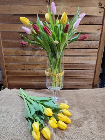 Tulipanes