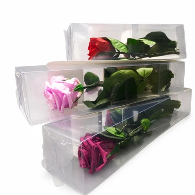 Rosas Preservadas