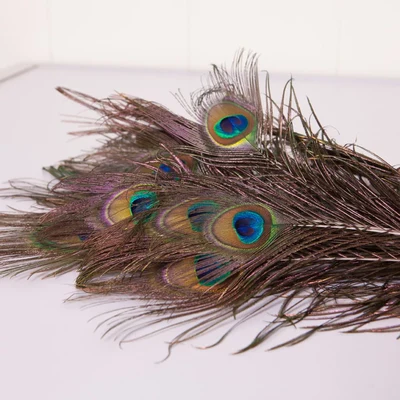 Plumas de Pavo Real