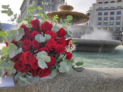 Ramo de 24 Rosas Rojas