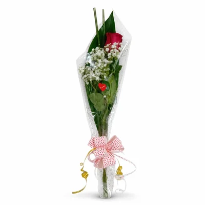 1 Rosa