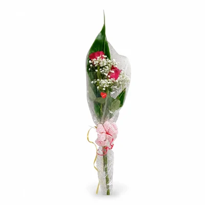 2 Rosas