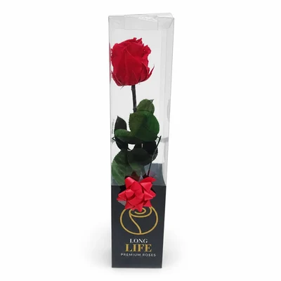 Rosas Preservadas