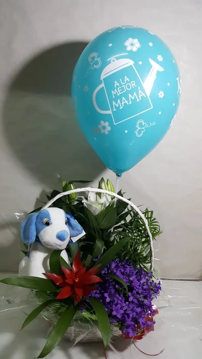 Cesta de Plantas con globo y peluche