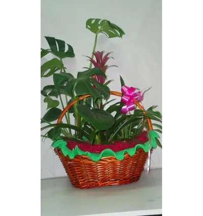Cesta de Plantas