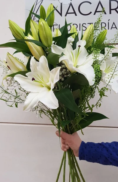 Ramo de Lilium Oriental