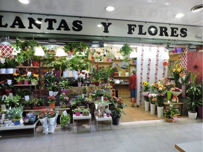 Cari Floristes