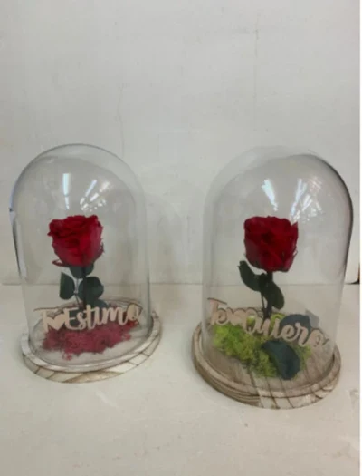 Cúpulas Rosa Eterna