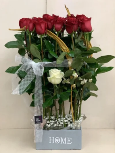 Lineal de 20 Rosas Rojas