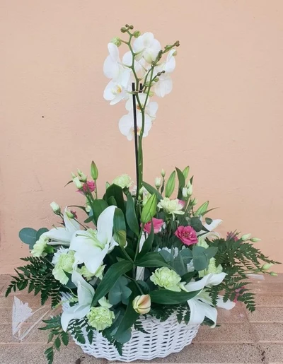 Centros de Plantas con Flor Natural