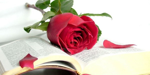 Floristería Aguilera