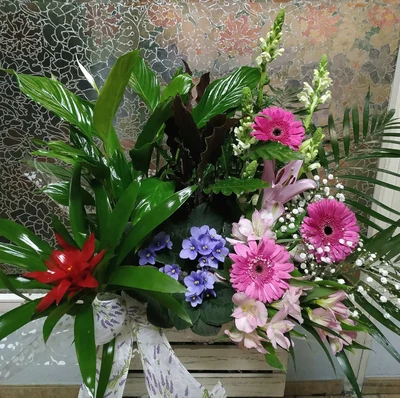 Plantas y Flores Naturales