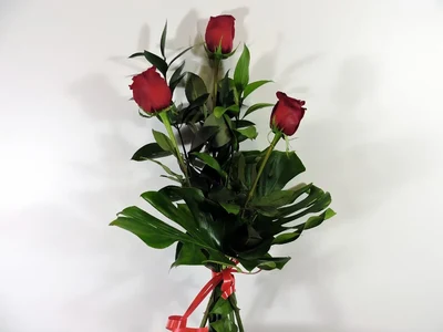 Detalle Rosas