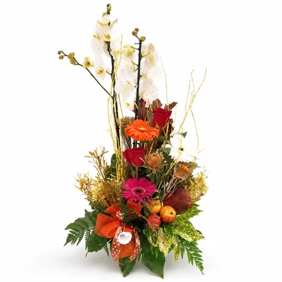Centros de Flores y Plantas