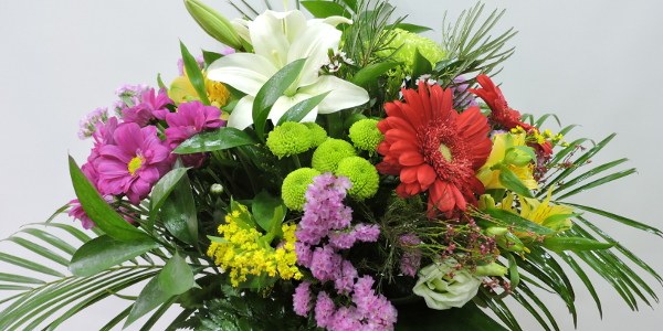 Floristería Iris