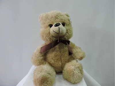 Osito de peluche