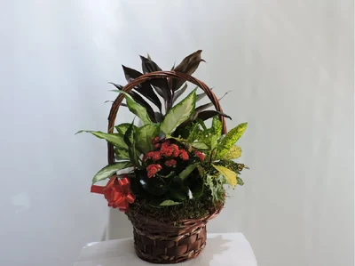 Cesta de Plantas Pequeña