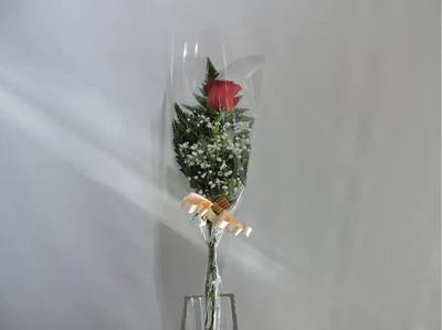 Detalle Rosas