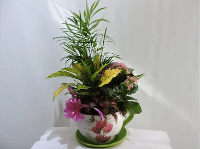 Taza de Plantas
