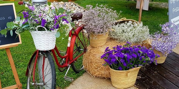 Mamen Sabadell Floristas