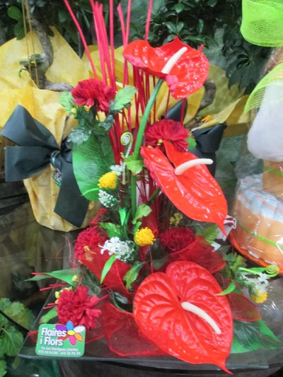 Centro de Plantas artificiales Anthurium