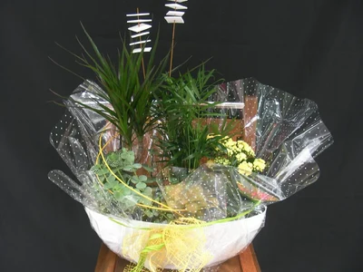 Centros de Plantas