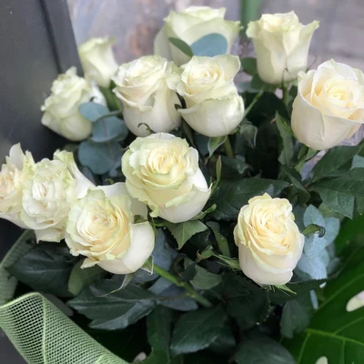 Ramo de Rosas Blancas