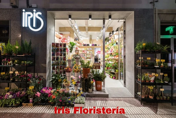 Iris Floristería