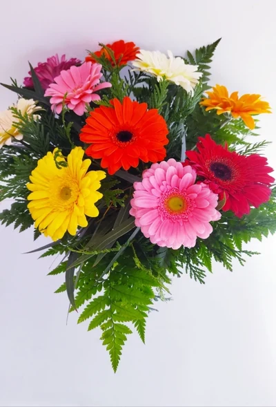 Ramo de Gerberas Multicolor