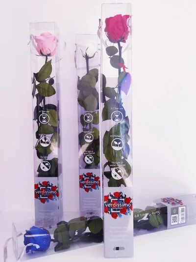 Rosa Eterna