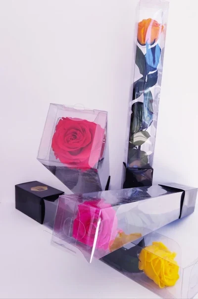 Rosa Preservadas Premium