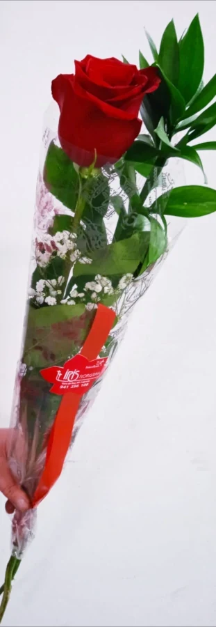 Rosas Rojas preparadas para regalo