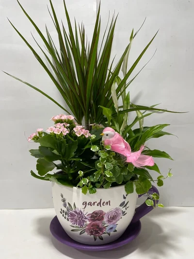 Taza con Plantas