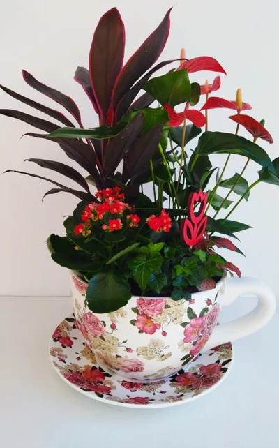 Tazón de Plantas