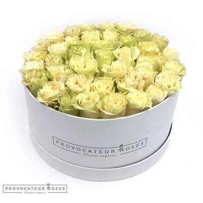 Caja redonda blanca con rosas blancas eternas