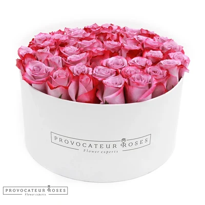 Caja redonda blanca con rosas deep purple frescas