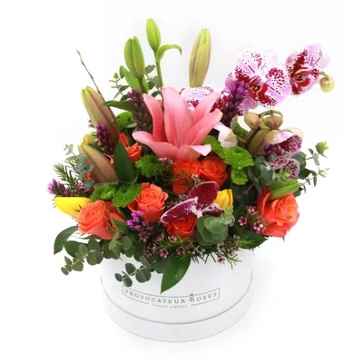 Cajas Decorativas