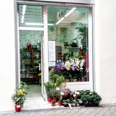 Rosas del Agavanzal