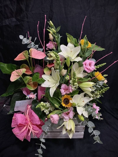 Centros de Plantas con Flor Natural