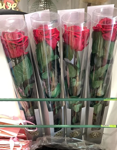 Rosa Eterna