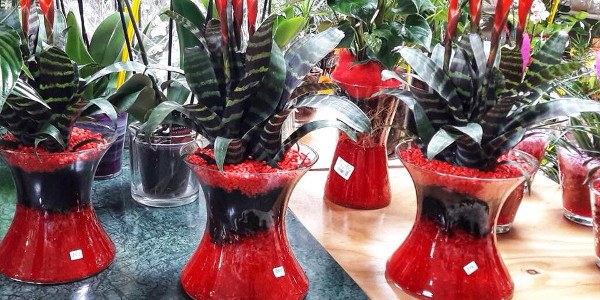Floristería Fullana