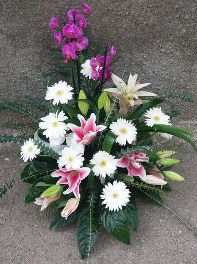 Centros de Flores y Plantas