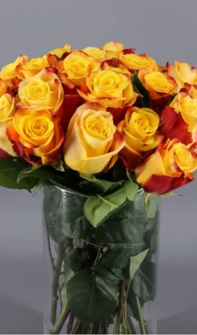 Ramo de Rosas Fuego (Amarillas y Rojas)