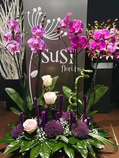 Centros de Plantas y Flores