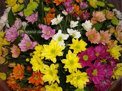 Ramo de Flores Fiyi