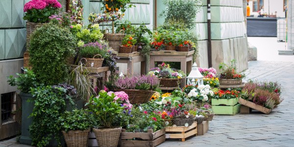 Floristería Apanymantel