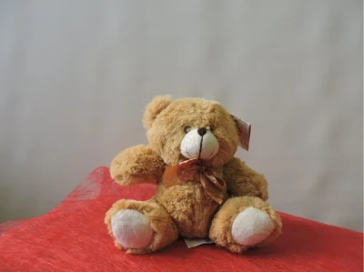 Osito Peluche Pequeño
