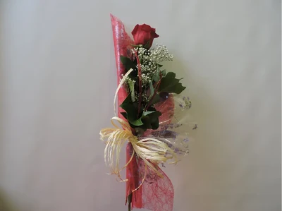 Rosas Preparadas para regalo