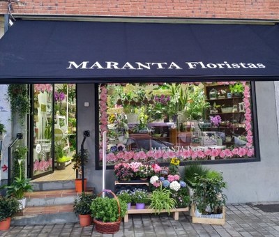 Maranta Floristas