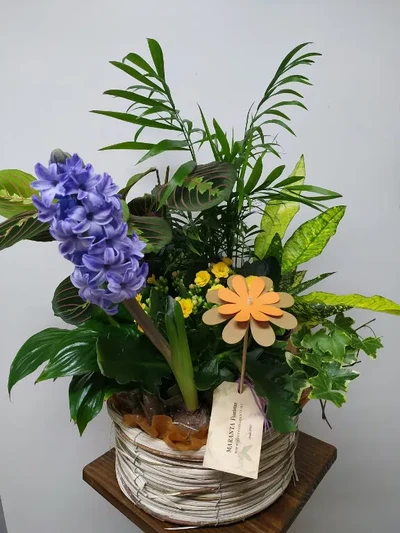 Cesta con Plantas